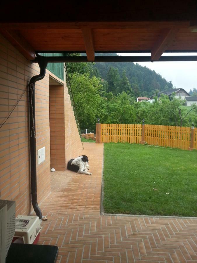 Sostanj Velenje Ravne Sobe Rooms Vrtacnik D O O Eksteriør billede